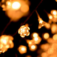 ブログはじめます